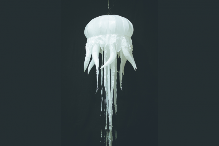 Inflatable JellyFish